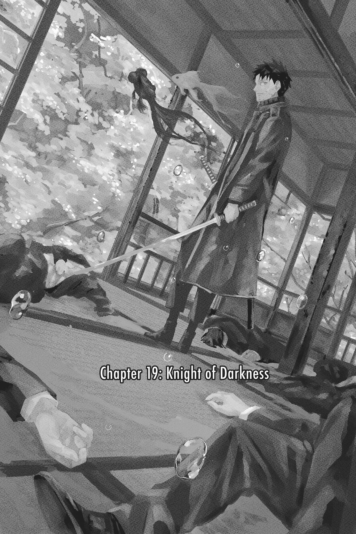 Chapter 19 (Knight of Darkness) image 8